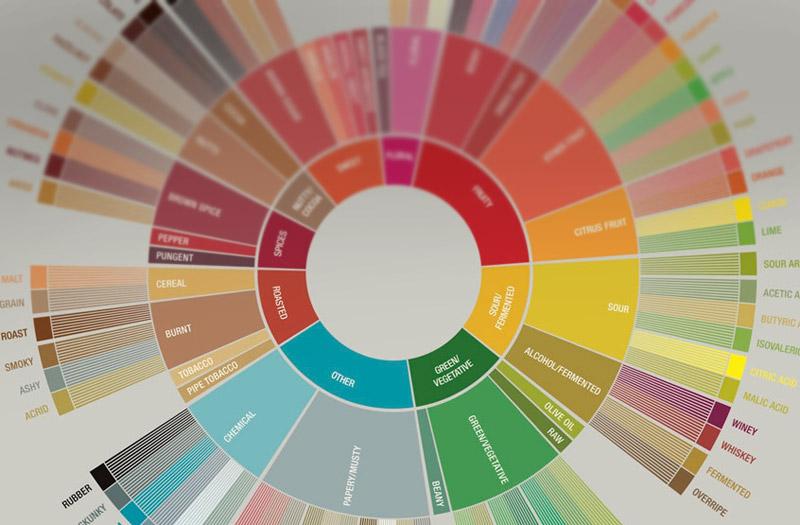 Das neue Kaffee Aromarad der SCA - carabica - fine coffee culture