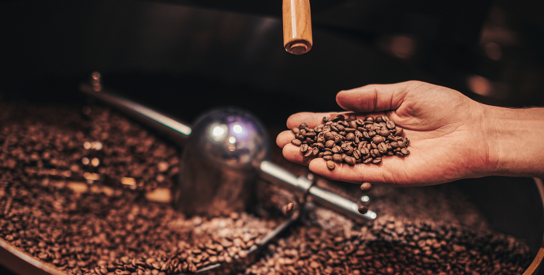 Light, Medium, Dark - Röstgrade beim Kaffee erklärt - carabica - fine coffee culture