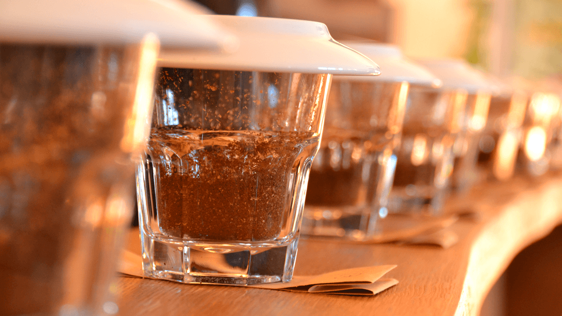 Objektive Kaffee-Qualität durch professionelles Cupping - carabica - fine coffee culture
