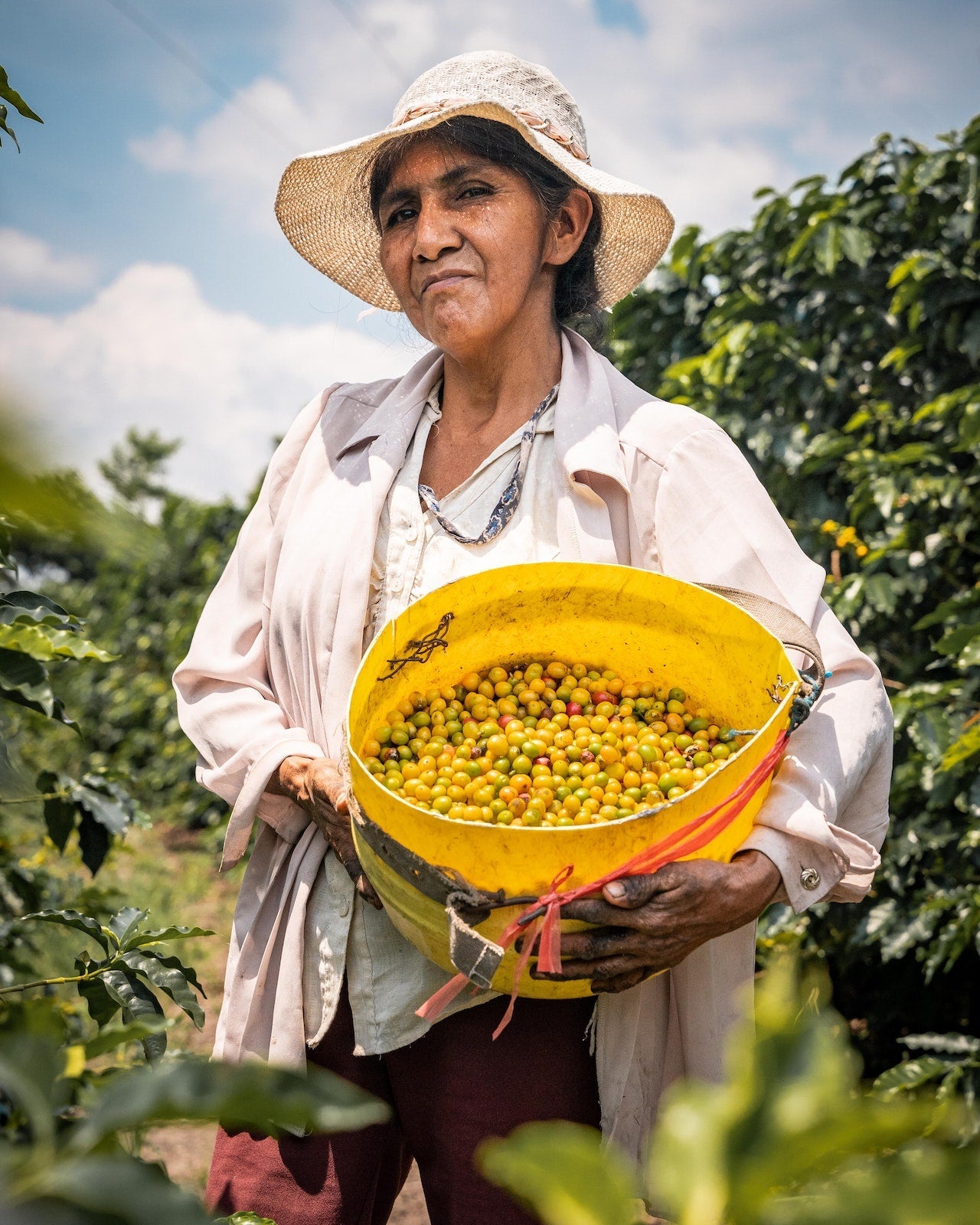 Transparenter Kaffee: wie wir das leben (wollen) - carabica - fine coffee culture