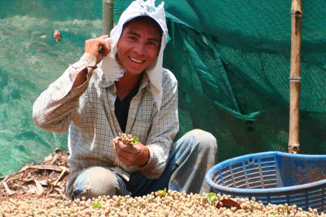 Mittel- und Südamerika | carabica - fine coffee culture