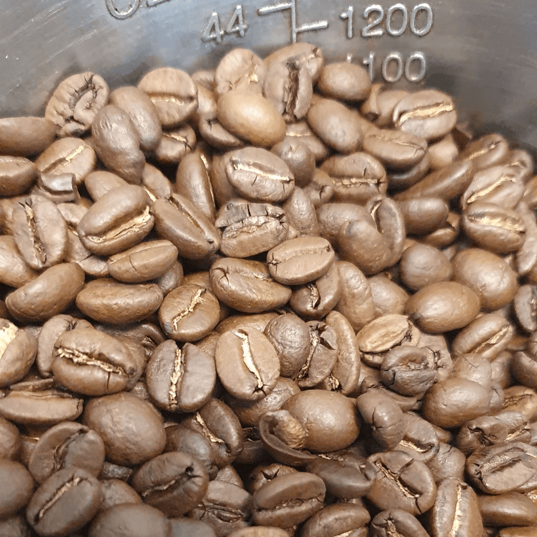 Ocean Blend Espresso, Arabica Blend - gesegelter Kaffee - carabica - fine coffee culture