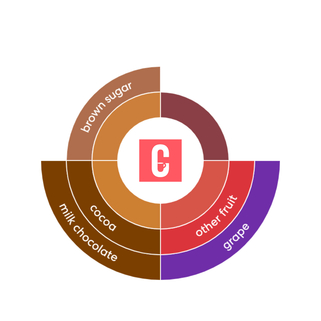 Santa Fee | Mexico, koffeinfrei (Swiss Water Methode), 100% arabica Kaffeebohnen - carabica - fine coffee culture