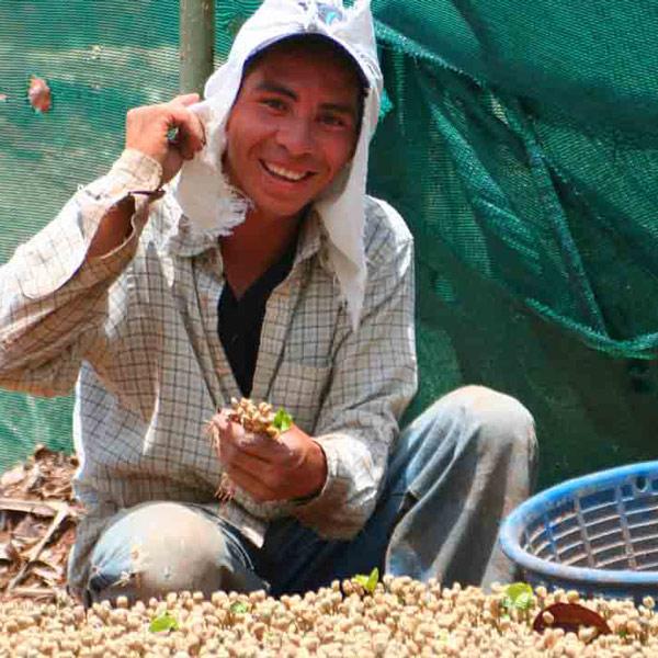 Casa de Luz, honey process beans, 100% arabica - carabica - fine coffee culture