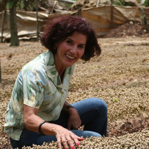 Casa de Luz, honey process beans, 100% arabica - carabica - fine coffee culture