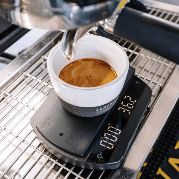 Hidden Valley, bio-zertifiziert, direct trade, 100% arabica - carabica - fine coffee culture