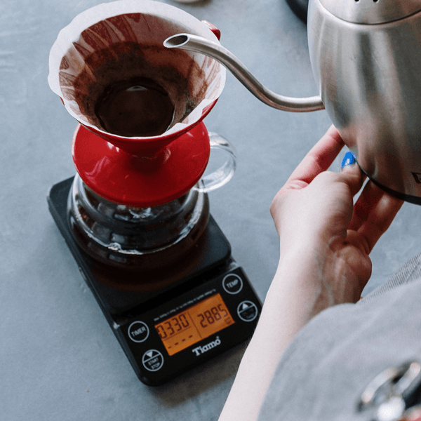 Java Jumpit, 100% Arabica aus Indonesien, säurearm - carabica - fine coffee culture