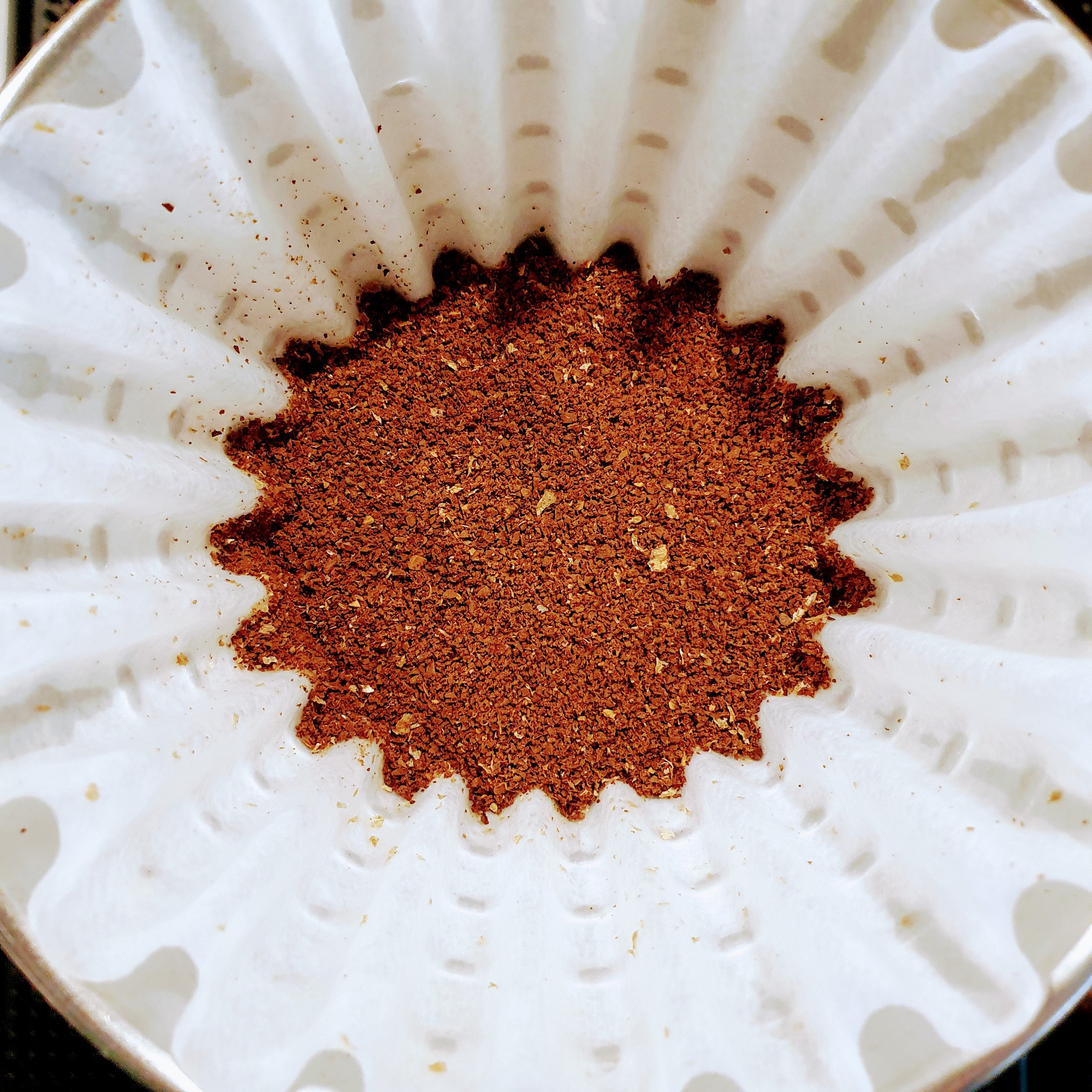 PachaMama, direct trade & klimaneutral, 100% arabica aus Peru - carabica - fine coffee culture