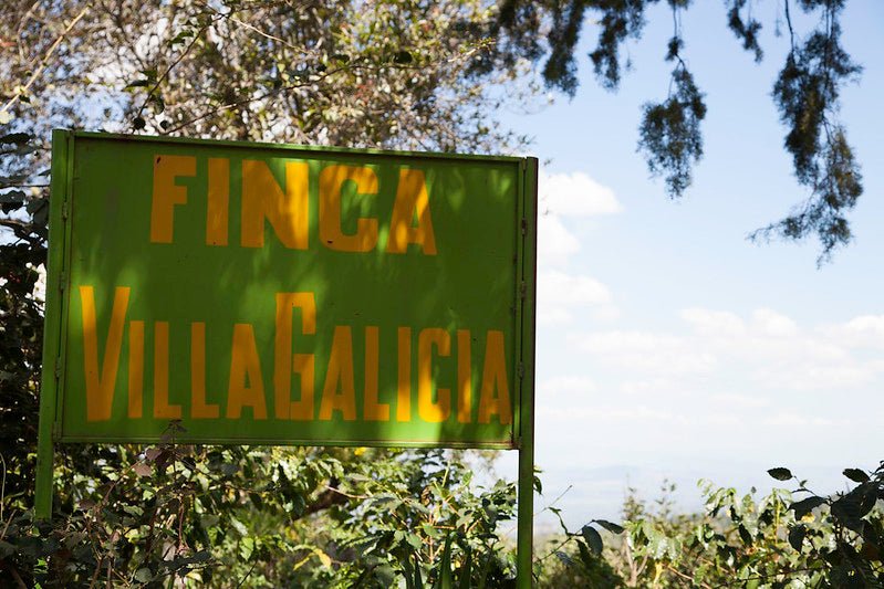 Villa Galicia aus El Salvador, natural, 100% arabica - Omni Roast +++Limited Edition+++ - carabica - fine coffee culture