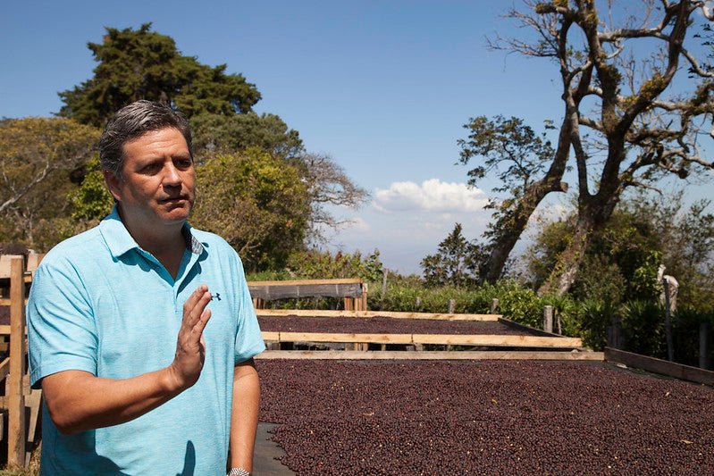 Villa Galicia aus El Salvador, natural, 100% arabica - Omni Roast +++Limited Edition+++ - carabica - fine coffee culture