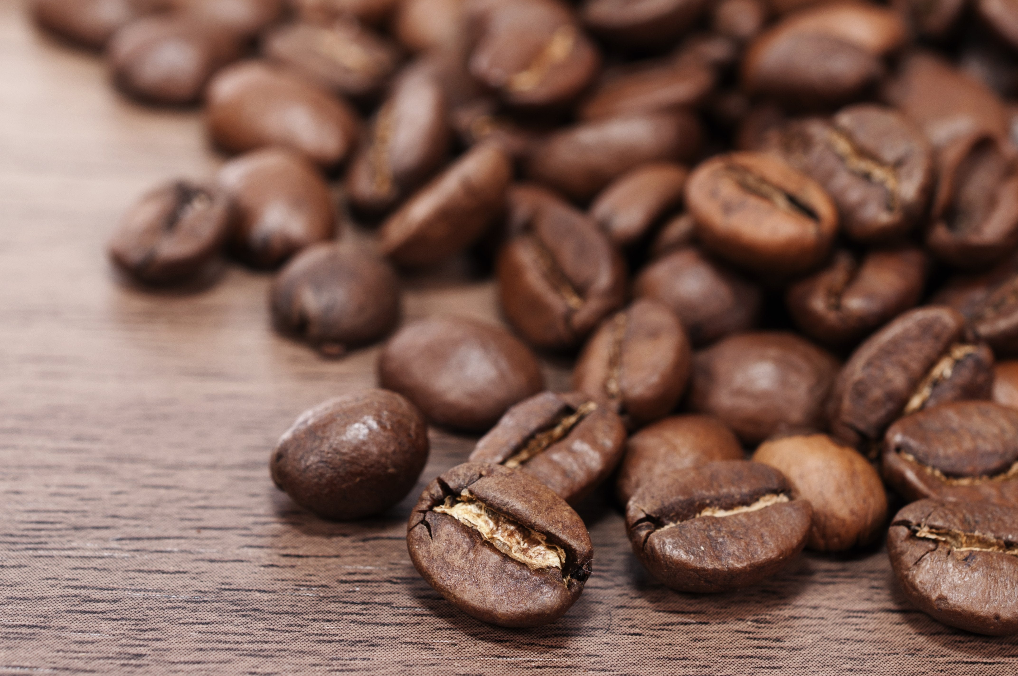 IM VERGLEICH: ARABICA VS ROBUSTA - carabica - fine coffee culture