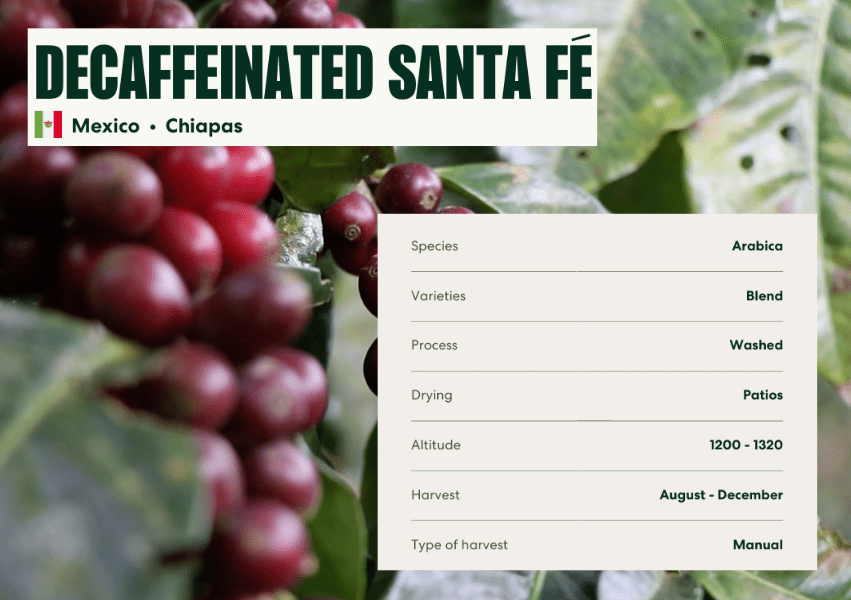Santa Fee | Mexico, koffeinfrei (Swiss Water Methode), 100% arabica Kaffeebohnen - carabica - fine coffee culture