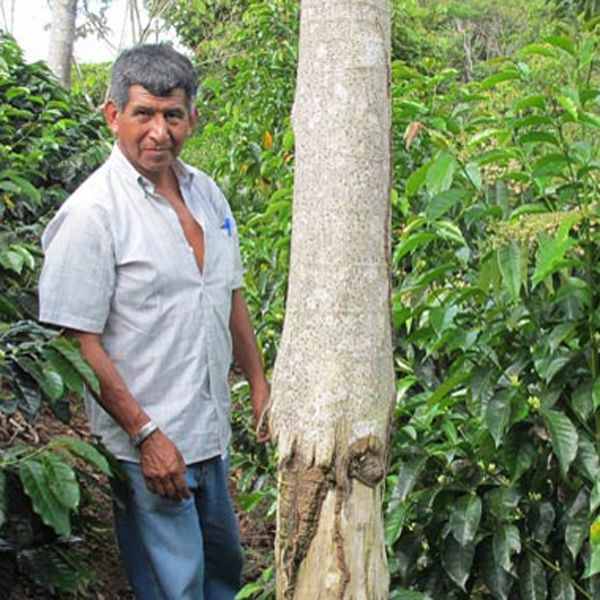 PachaMama, direct trade, bio & klimaneutral, 100% arabica - carabica - fine coffee culture